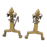 Old brass chenets & fleur de lys cast iron