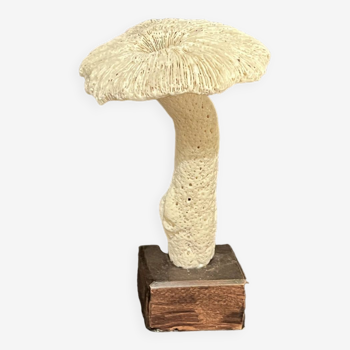 Champignon en ancien corail blanc sur socle bois xixe XXe cabinet de curiosités vintage