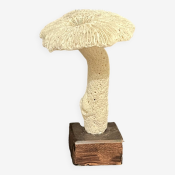 Mushroom in old white coral on wooden base 19th 20th vintage cabinet of curiosities