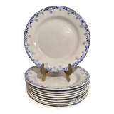 Creil montereau labrador plates