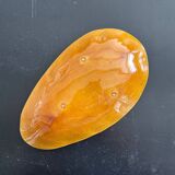 Provençal yellow shell emptier