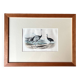 Ornithological plate "Ostrich & Cassowary" by Buffon