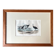 Ornithological plate "Ostrich & Cassowary" by Buffon