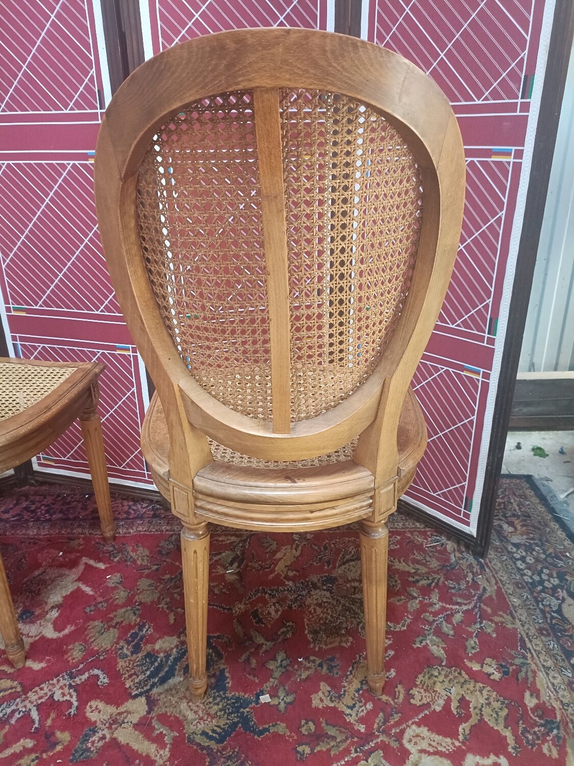 Louis XVI style medallion chairs, canned seat and back