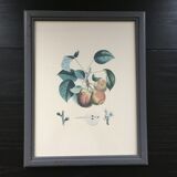 Botanical peach board