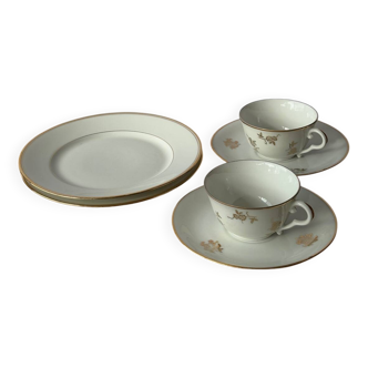 Limoges porcelain cups and plates
