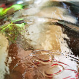 Demi-John - 20 liters