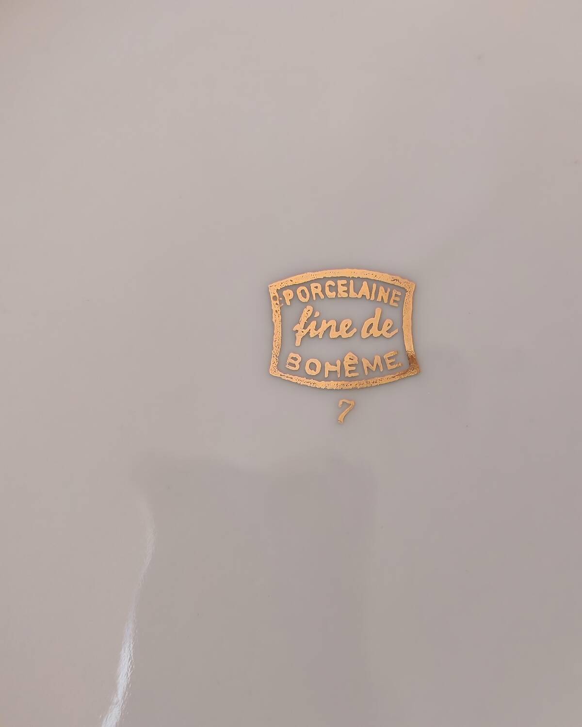 Porcelain dinner plates