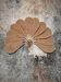 Applique murale paon