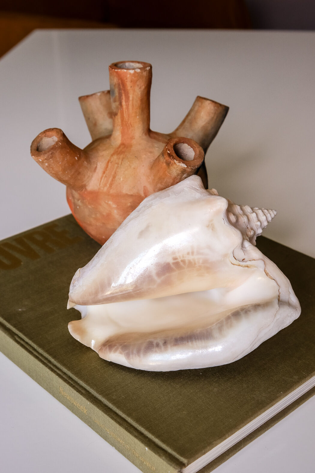 Shell