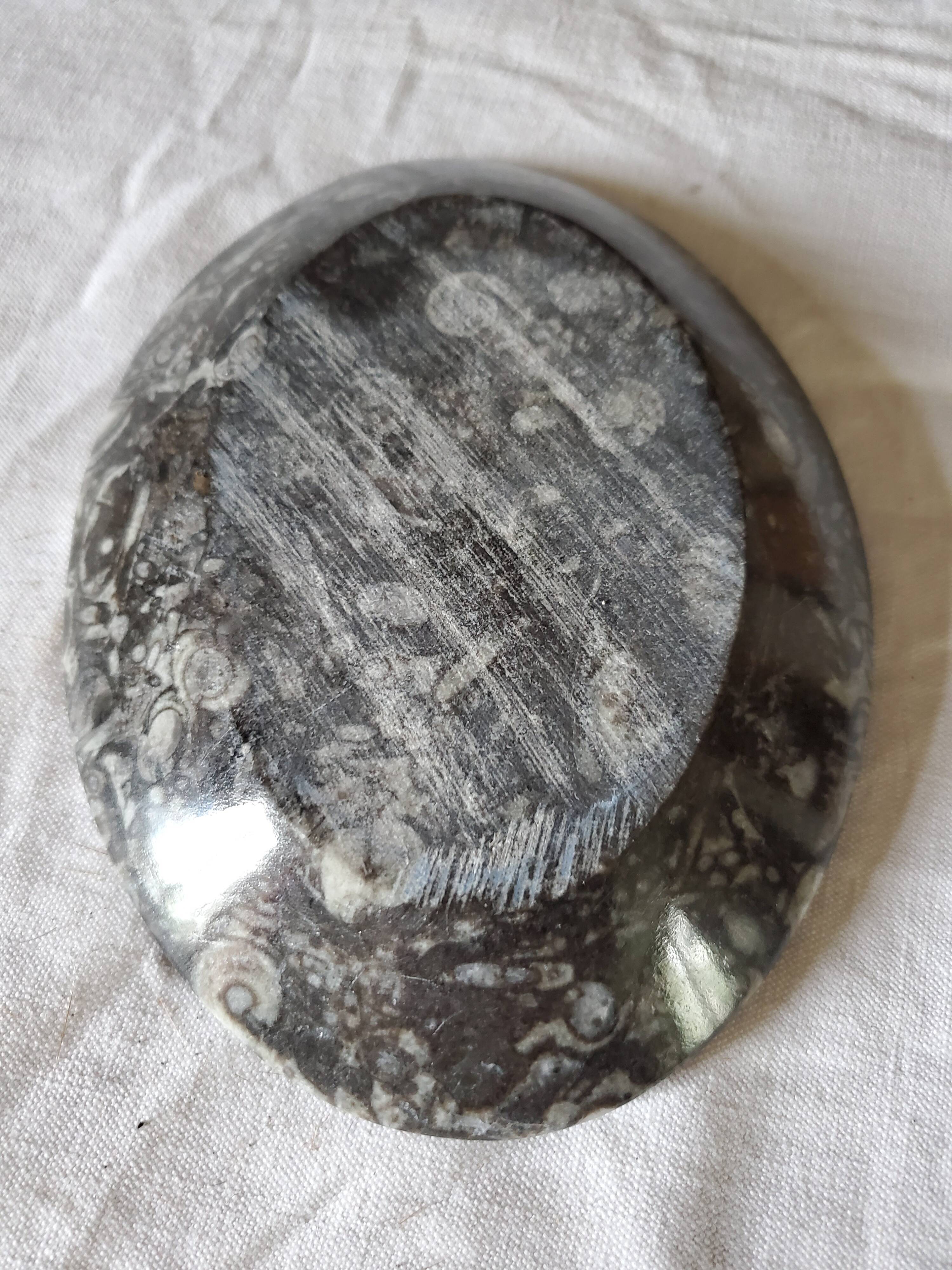 Empty fossilized marble pocket