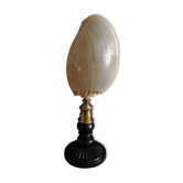 Cabinet of Curiosities shell melo broderipii on base