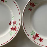 Flat plates Badonviller