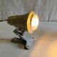 Articulated clamp spotlight by Philips - 1950s/60s