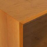 1960s display cabinet