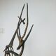 Duo gazelle and giraffe in brass 60 cm XXL vintage