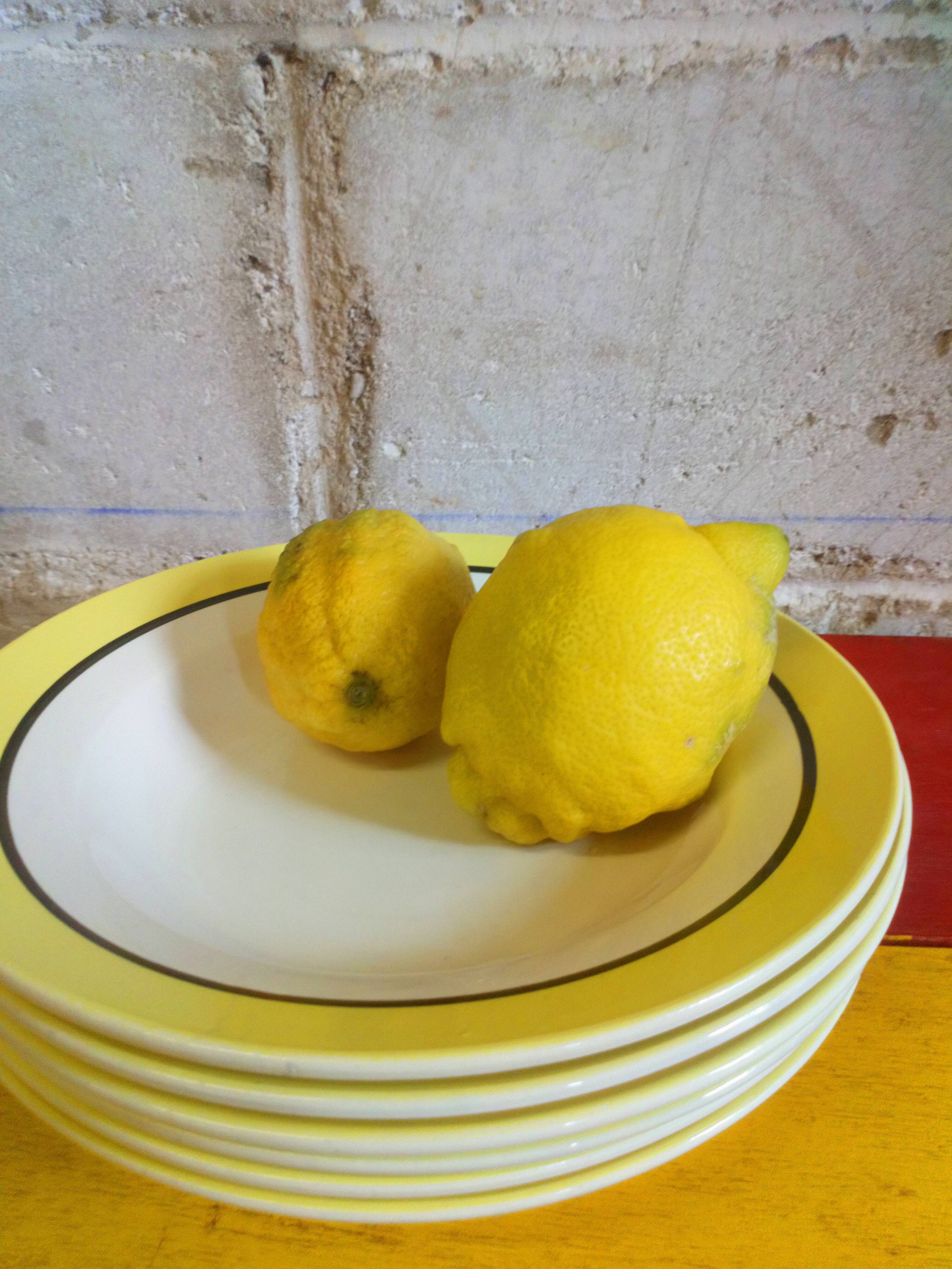 Six plates Digoin-Sarreguemines "Dinard" 50s