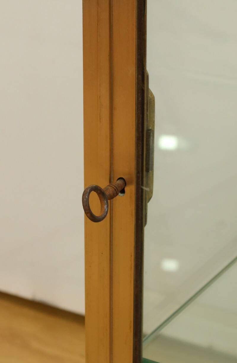 Display Cabinet in Brass and Elm – 1950