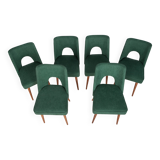 Chaises en coquillage polonais de l'usine de meubles de Bydgoszcz, années 1960, lot de 6