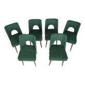 Chaises en coquillage polonais de l'usine de meubles de Bydgoszcz, années 1960, lot de 6