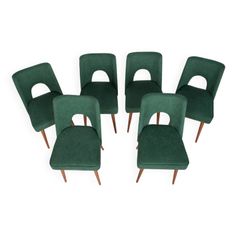 Chaises en coquillage polonais de l'usine de meubles de Bydgoszcz, années 1960, lot de 6