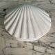 Heinrich white porcelain shell box