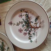 6 small plates - 20 cm - Botanica, Villeroy and Boch series