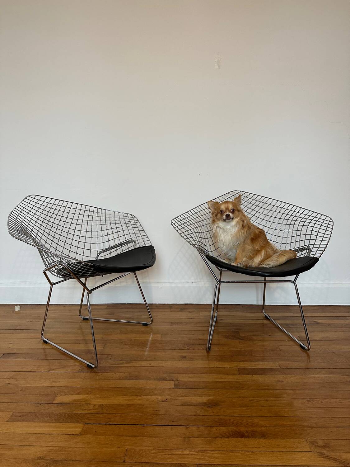 Paire de fauteuils Diamond par Harry Bertoia pour Knoll vintage