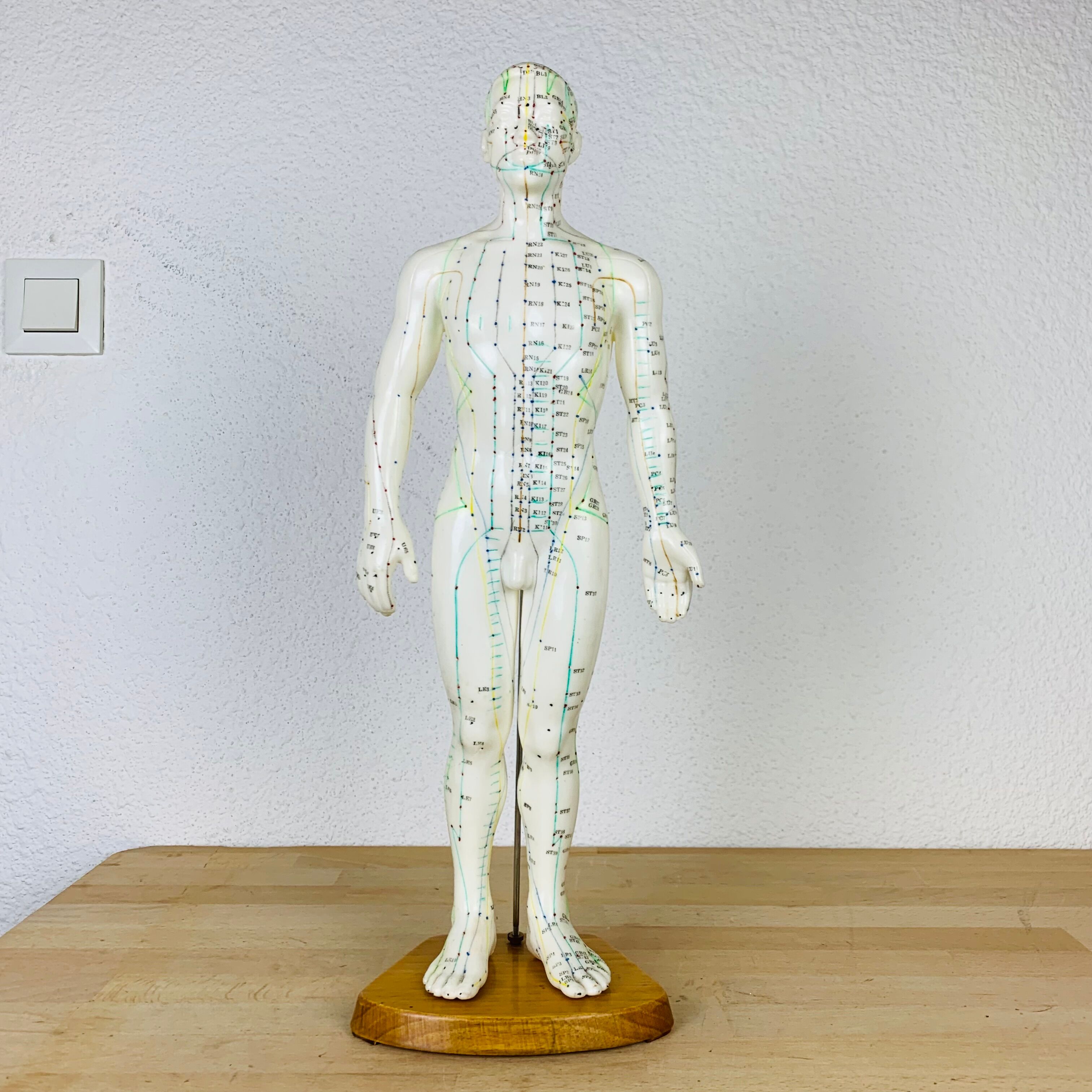 Mannequin d'acupuncture vintage cabinet de curiosité