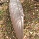 '30s mahogany canoe