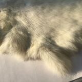 Peau de lapin blanche