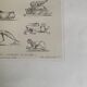 Lithographie ancienne orientale - Ornements de la Perse