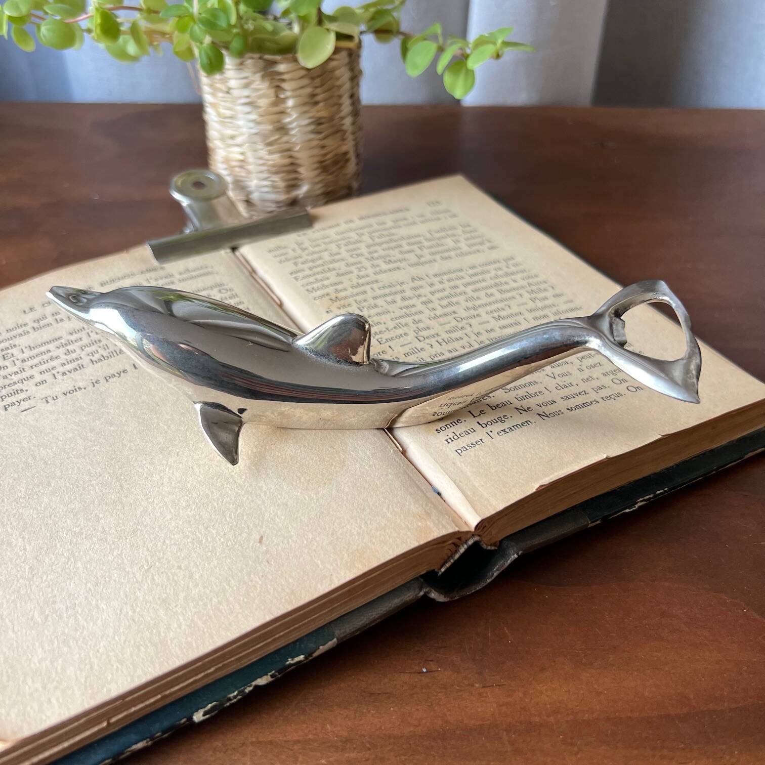Dolphin bottle opener