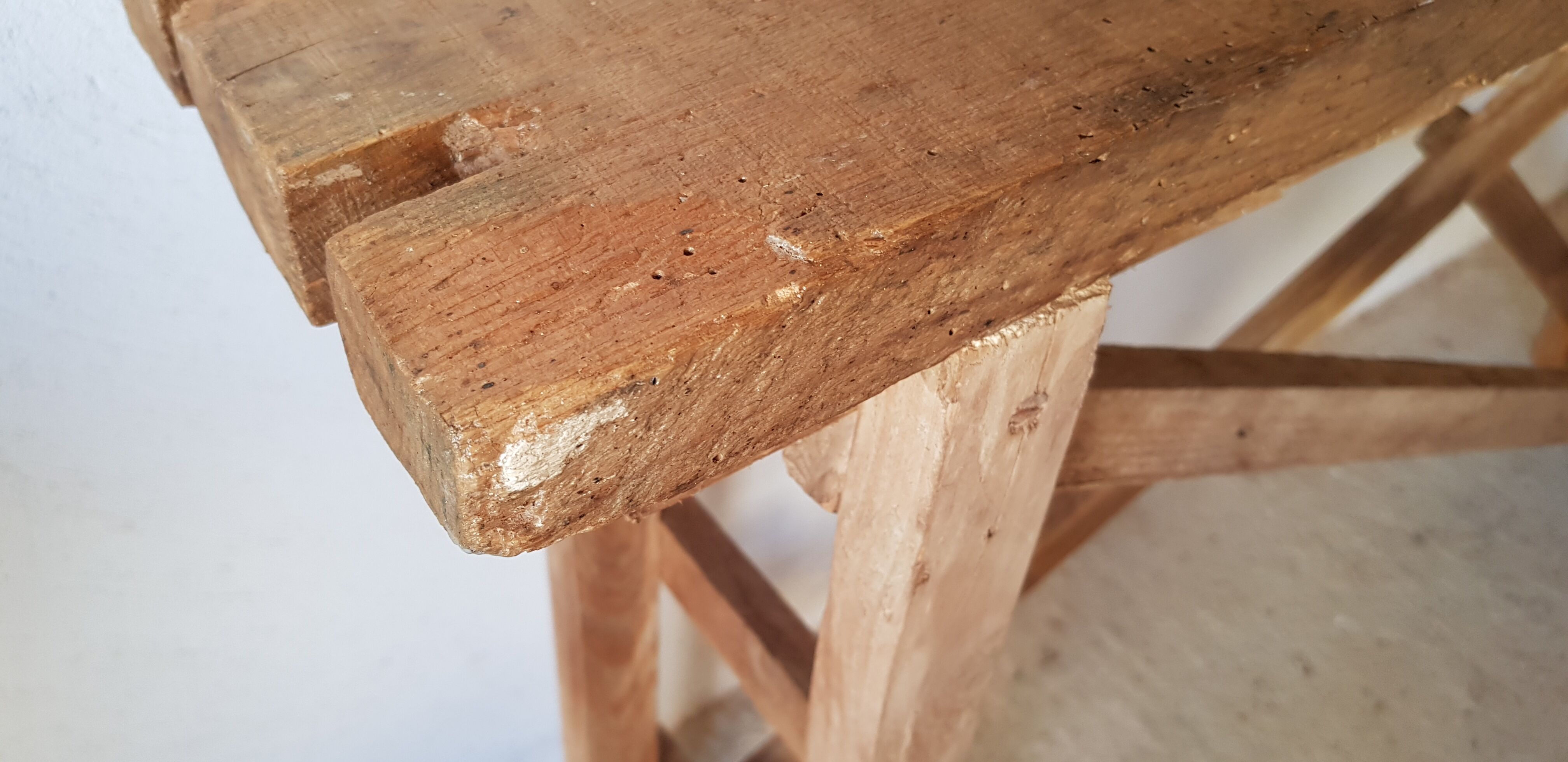 Primitive established