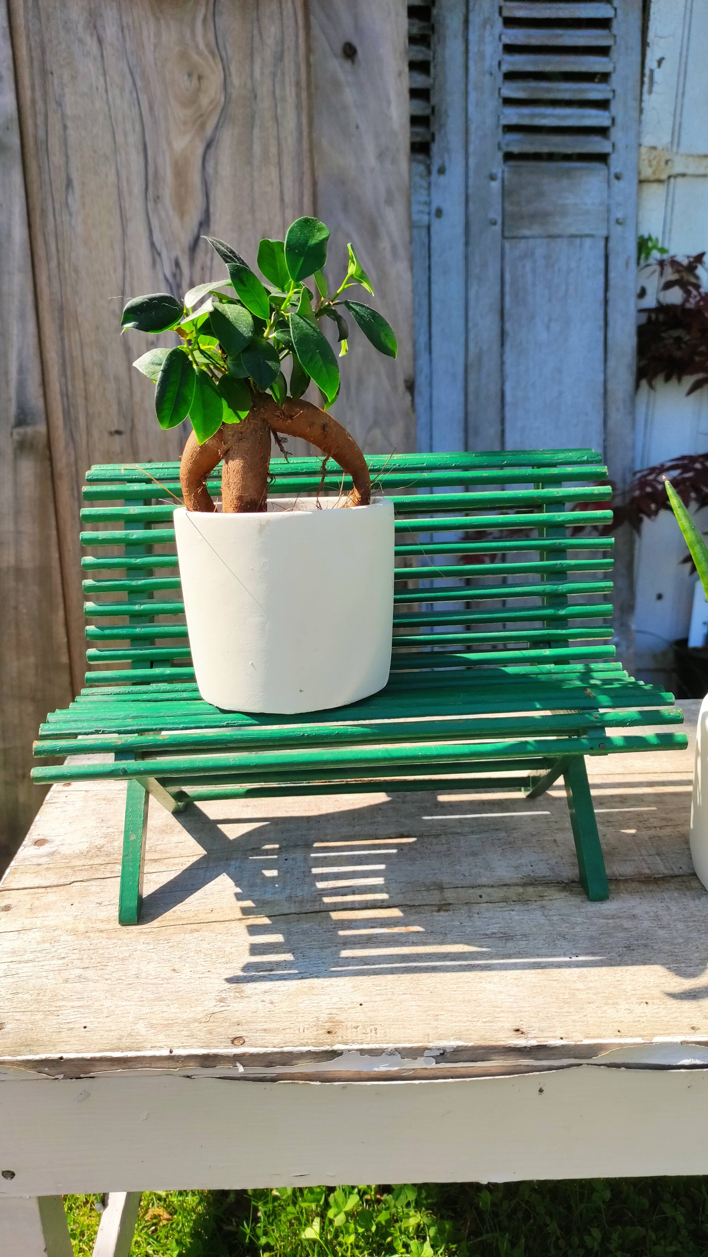 Small wooden bench, old toy