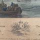 Framed antique engraving of the port of Bordeaux