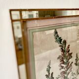 Botanical lithograph frame