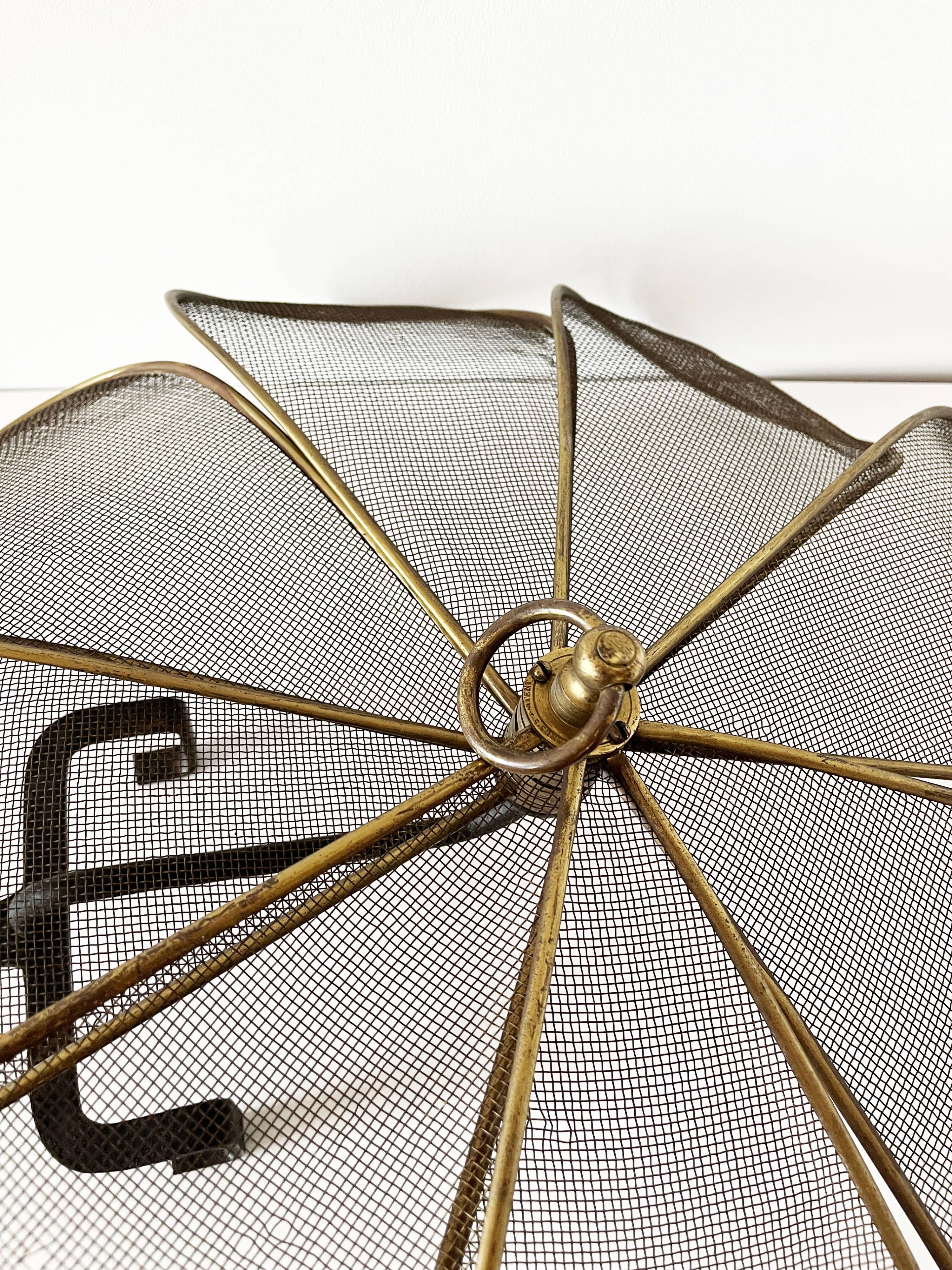 Old fireplace screen