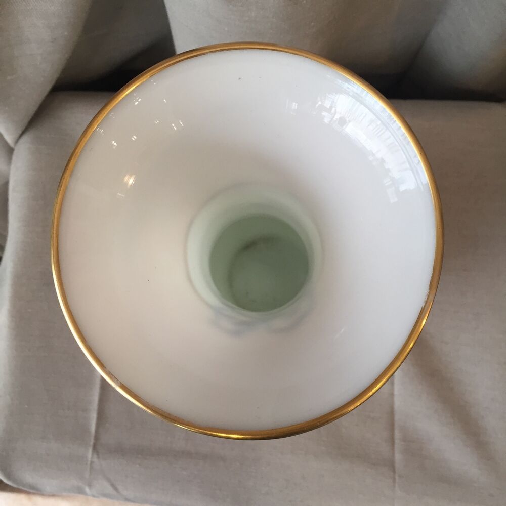 Superb vase in opaline 19th with floral decoration