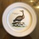 Lot of 4 plates Villeroy and Boch paradiso