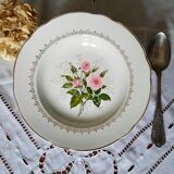 Old hollow plates mismatched in earthenware