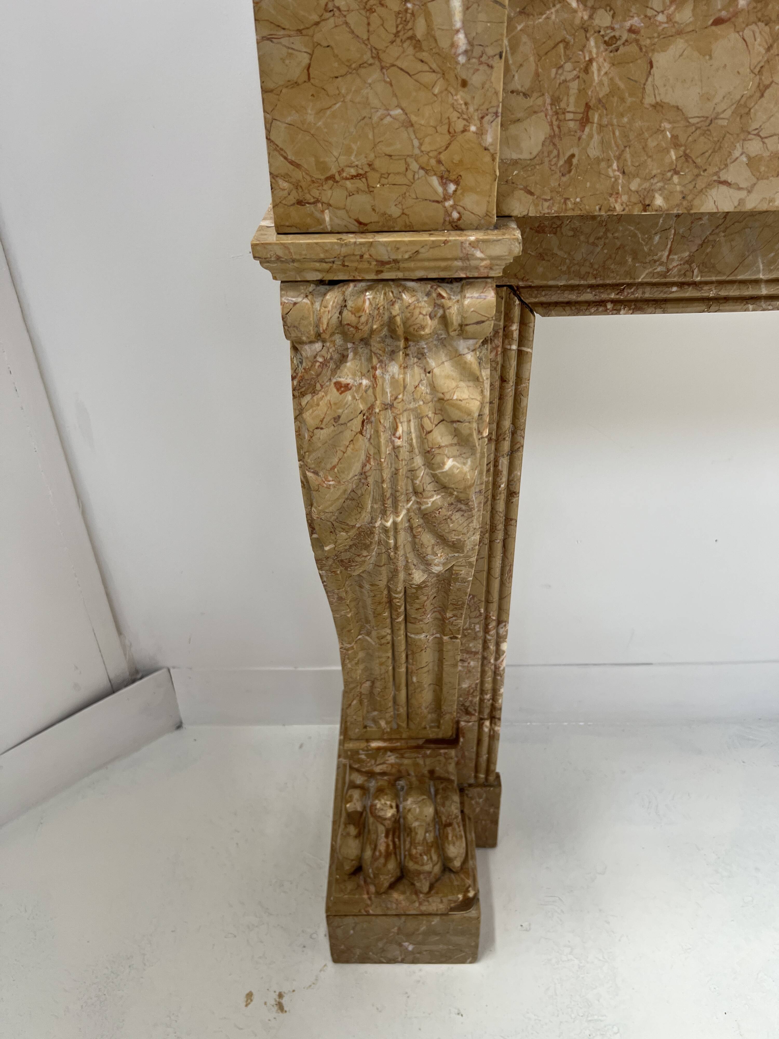 Napoleon III fireplace with claw feet in speckled marble, 19th century.