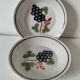 Pair of antique soup plates with hand-painted grape decoration