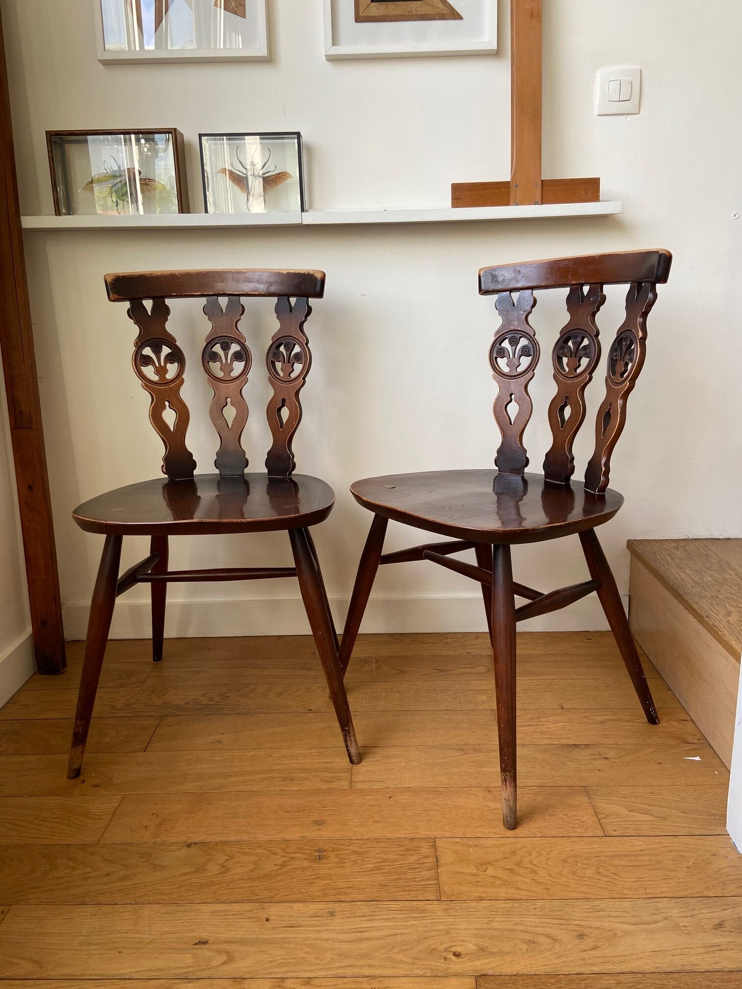 Paire de chaises en bois "Ercol"