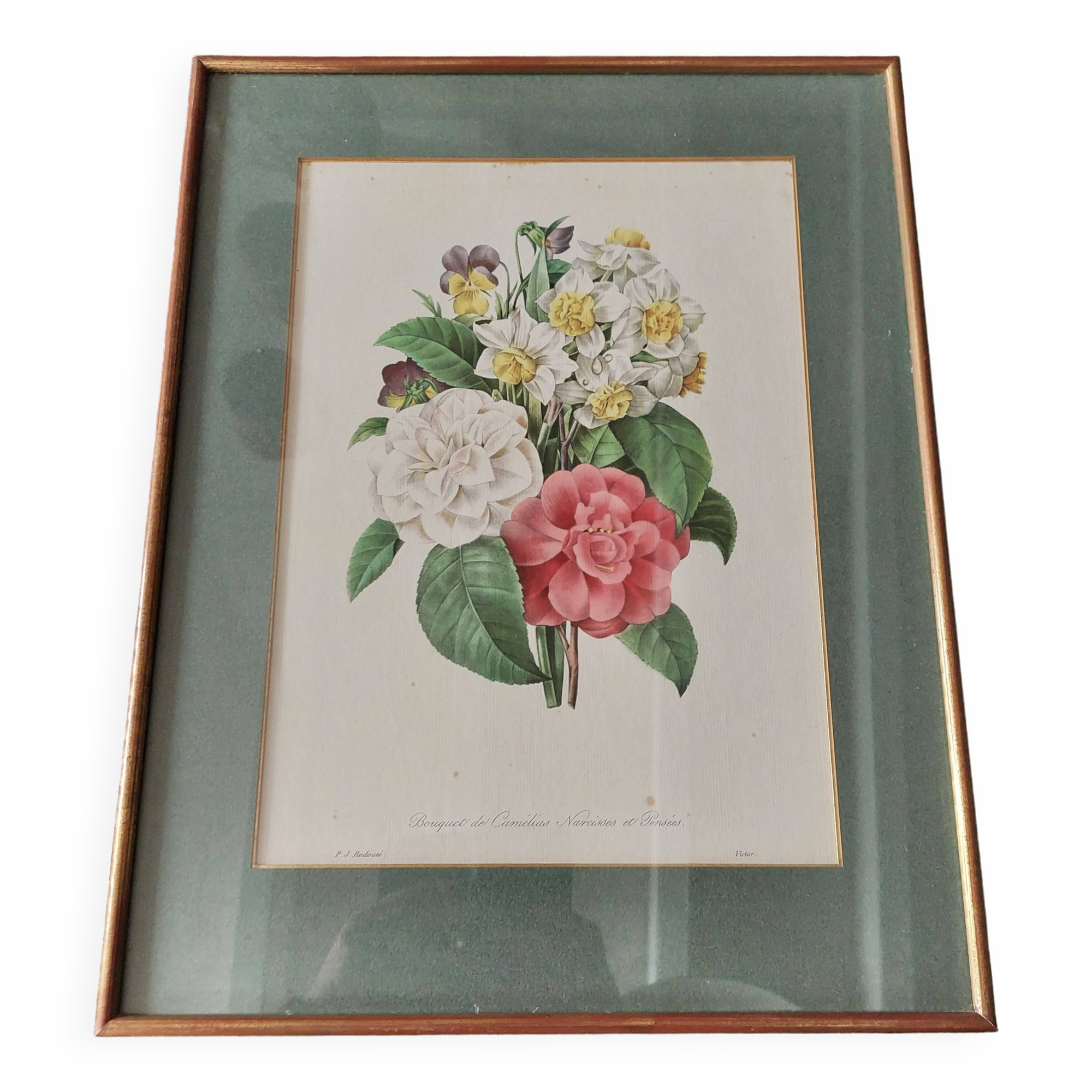 Engraving after Pierre Joseph Redouté engraved by Victor bouquet camellias