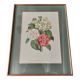Engraving after Pierre Joseph Redouté engraved by Victor bouquet camellias