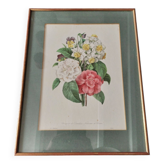 Engraving after Pierre Joseph Redouté engraved by Victor bouquet camellias