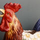 Carafe, pitcher rooster slurry