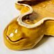 Large mustard yellow ceramic turtle dish, vintage 1950s-1970s.