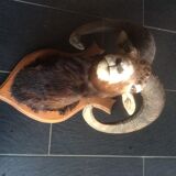 Sheep trophy